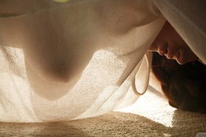 Emmy Sinclair Lace Panties Zishy