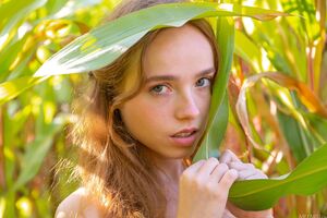 Rinna Ly in Discover Me at Met Art