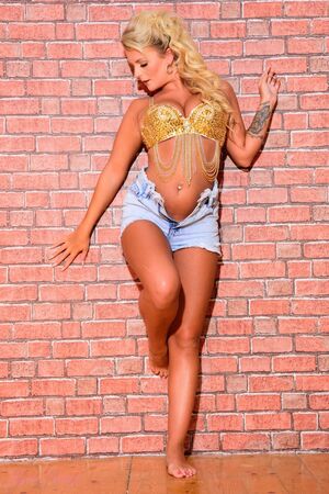 Lycia Sharyl in Bricked Boobs