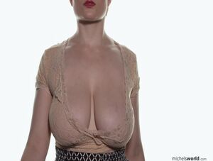 Diary at Michels World