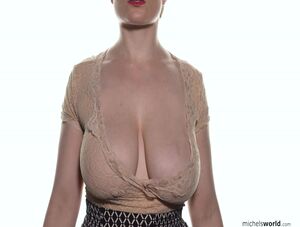 Diary at Michels World