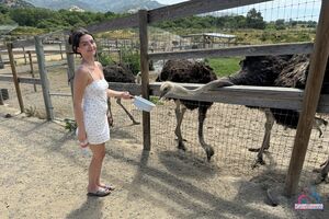 Serena Hill in Set 409426 at ATK Girlfriends