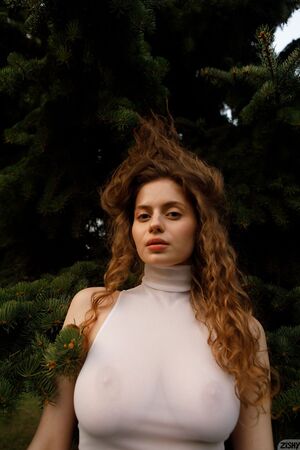 Mitropoliya in Opportunity Ekonomy at Zishy