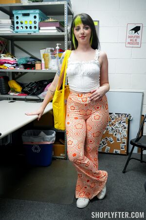 Kitty Cam in Case No. 8003120: The Artist In Distress at Shoplyfter