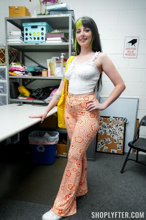 Kitty Cam in Case No. 8003120: The Artist In Distress at Shoplyfter