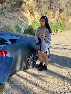 Briana Lee Public Nudity 12 Nude Pics