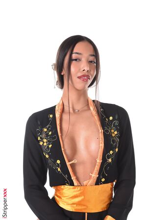 Lia Lin in Show Me Your Sword at IStripper