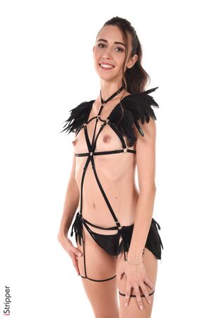 Sandra Lyn in Feather Caress at IStripper