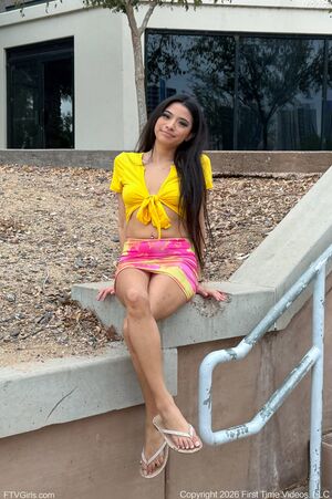 Monica Dog Park Flasher FTV