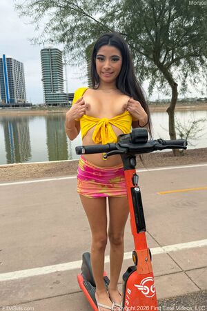 Monica Dog Park Flasher FTV