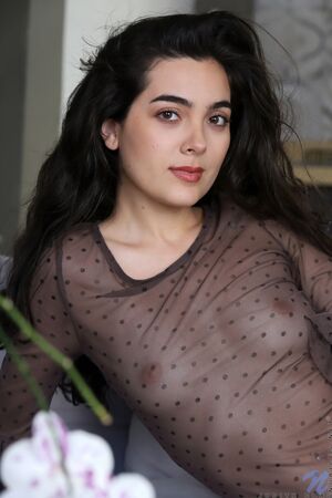 Judith Cox Sheer Bodysuit Nubiles