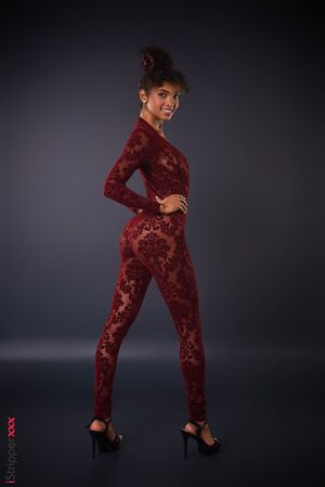 Barbie Rous Hugged In Burgundy IStripper