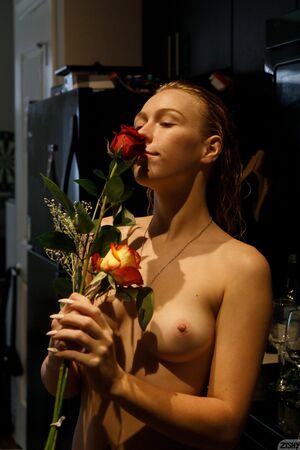 Sunny Radford Honey Bumps Two Zishy