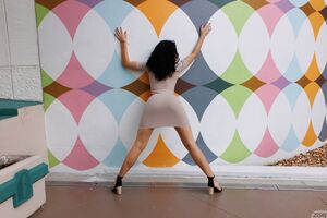 Rosaline Imaz Art Night Flasher Zishy