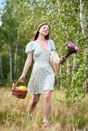Toree MetArt Sexy Picnic Mini Dress