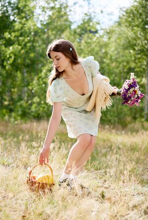 Toree MetArt Sexy Picnic Mini Dress