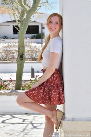 Sierra in Upskirt Penetration at FTV Girls