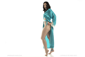 Nora Rose Brunette Hottie Silk Robe Nude Muse
