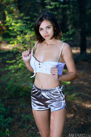 Dzhili Striker Met Art