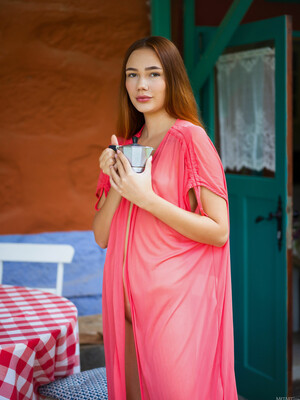 Janey in Gingham at Met Art
